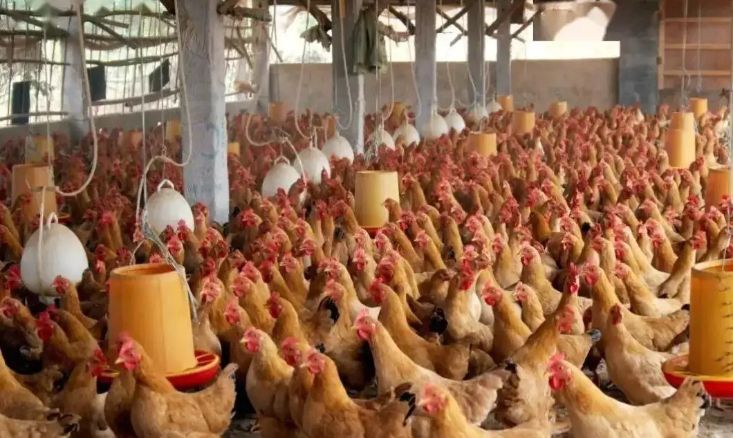 他自认赌博可控,但现实不是你想